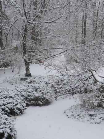 Our beautiful setting in snow.