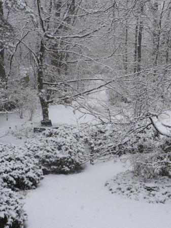 Our beautiful setting in snow.
